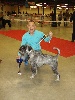  - GEORGES AU PARIS DOG SHOW